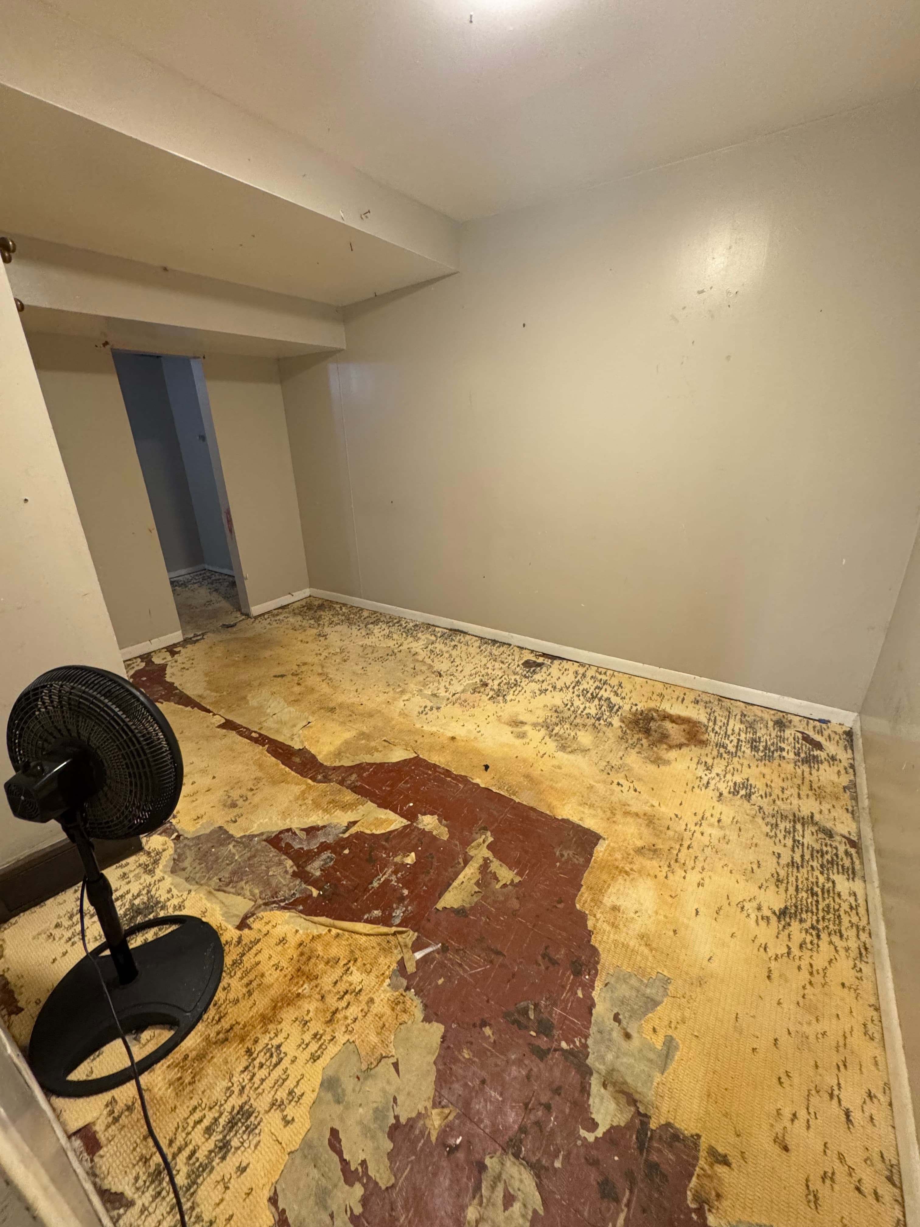 Empty room featuring a black pedestal fan and a severely damaged, stained, and peeling floor.