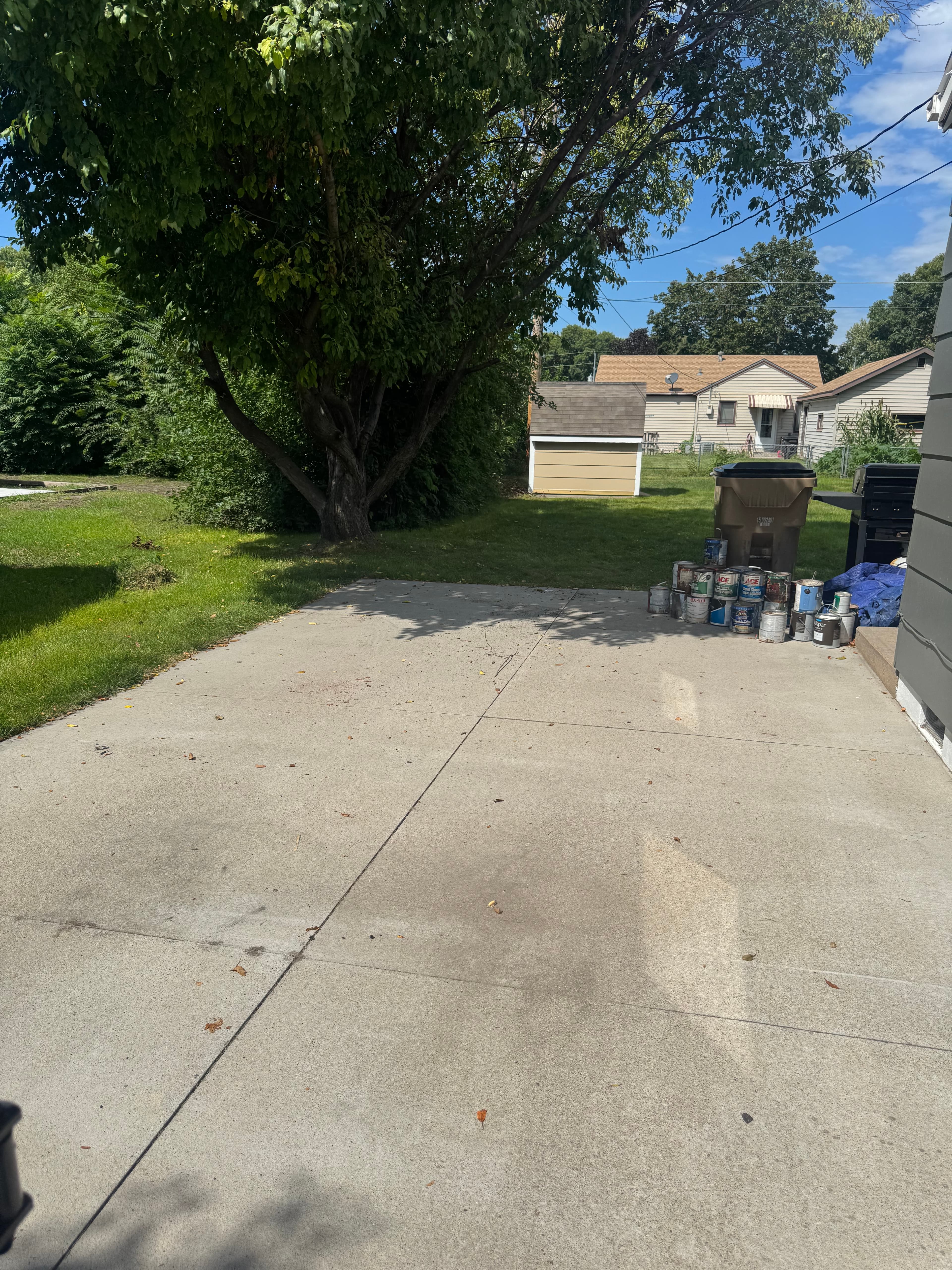 Concrete driveway with paint cans, a large tree, and a shed in a backyard.